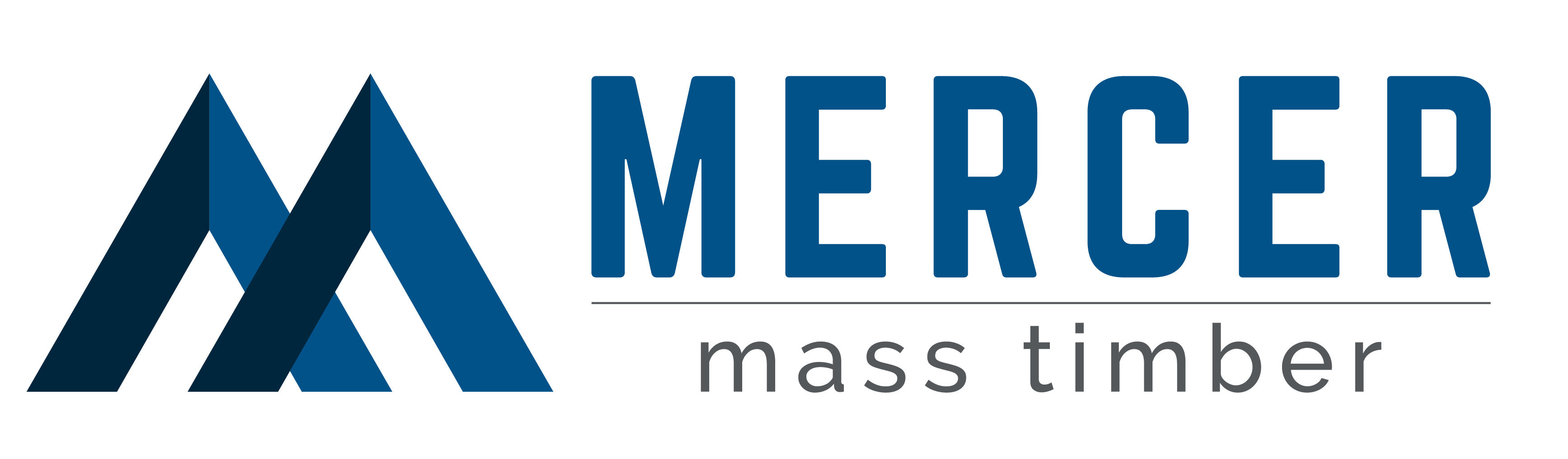 MMT Logo
