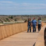 TRPL Boardwalk Threefold 035 Large 150x150